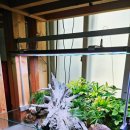 아쿠아플랜트디자인 이미지