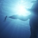 포디컴퍼니 이미지