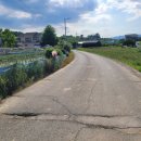 금와공인중개사사무소 이미지