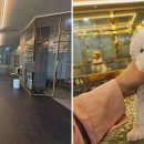 도그마루 강아지고양이 청주점 이미지