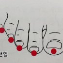 조은코스메틱