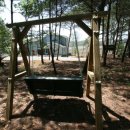 하늘빛으로 물든새 이미지