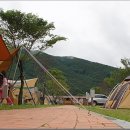 영월 동강오토캠핑장 이미지