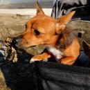 신바람농장 이미지