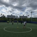 스타복싱총본관 이미지
