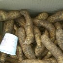 천마농장 이미지