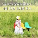 공주 석장리 유채꽃 위치 석장리구석기축제 준비 상황 솔직후기