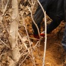 서원농장 이미지