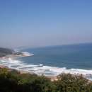 장사해수욕장 이미지