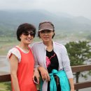 합덕초교 이미지