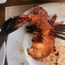 투썸플레이스은평뉴타운점 | 은평롯데몰 근처 구파발맛집 스와가트은평뉴타운점 , 현지 쉐프가 만드는 인도커리 솔직후기
