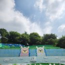 정선신토불이 | 강원도 4박 5일 태교여행 후기 1일차 (알파카월드, 홍천 신토불이)