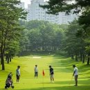 도평(대구) 이미지