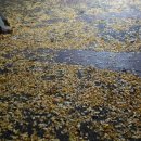 황령산레포츠공원 대운동장 이미지