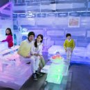 아이스뮤지엄 이미지