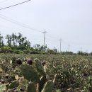 서부농업기술센터 이미지