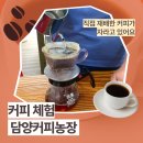 다양한 커피 체험이 가능한 담양커피농장 커피 열매도 볼 수 있어요