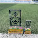 문당길 | 제9회 경북축구협회장배 동호인 축구대회 연일여자FC 준우승 후기