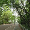 봉수대로 이미지