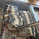 풍천연가풍천장어참숯구이 | 이천장어맛집 임금님풍천장어 이천본점 참숯구이 후기