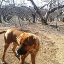 든든농장 이미지