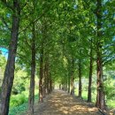 큰맘할매순대국 영월남면점 이미지