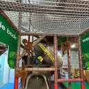 오세르키즈앤패밀리풀빌라 이미지