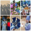 [대외활동] &#34;2025 봄 궁중문화축전 궁이둥이 활동후기&#34; | 대외활동 추천, 활동 기간 및 내용, 활동 시...