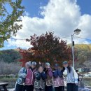 양평원조외갓집체험마을 이미지