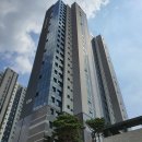 포레스트31 이미지