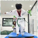 늘푸른 경희대 태권도장 이미지