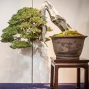 다문초등학교 이미지