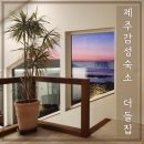 더들집 | 제주 구좌 독채펜션, 제주감성숙소, 더들집, 내돈내산 후기