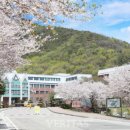 알파행정사 이미지