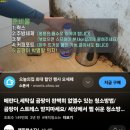 매직청소TV 이미지