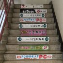 더우디