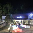 진돼지