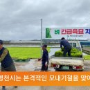영천시, 모내기철 맞아 긴급육묘 지원 이미지