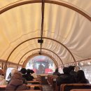 채움목장 | 아이와 강원도 거울여행 1박 2일 코스(5살-만3세)