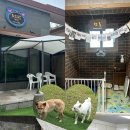 도그랑펜션 이미지