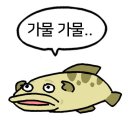 카페꽃뫼