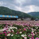 화산 경로당 이미지