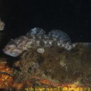 원장목장 이미지