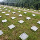 무궁화공원 이미지