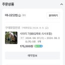 계룡산글램핑 동월숲 이미지