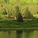 가시 살이 이미지