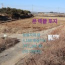 평택호공인중개사사무소 이미지