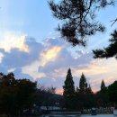 엔젤리내과의원 | 맞춤형화장품조제관리사 시험공부, 합격 그 후