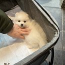 동수사랑 동물병원 이미지