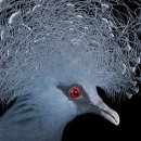 gc-camera-034 이미지